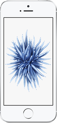 Apple iPhone SE 32 GB